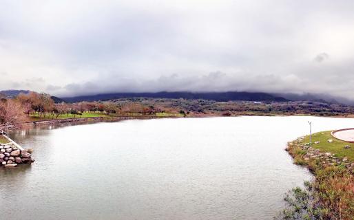 Taitung Chishang Dapochi Pond (台東池上大坡池)