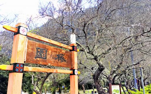 Taroko Tianxiang Plum Garden (太魯閣天祥梅園)