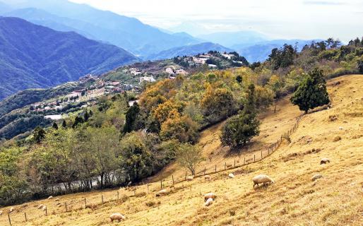 Qingjing Guanshan Pasture (觀山牧區)