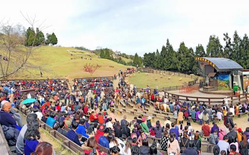 Qingjing Sheep Show Stage (青青草原綿羊秀)