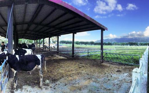 Hualien Ruisui Rareseed Pasture (花蓮瑞穗牧場, Rueisuei Pasture)