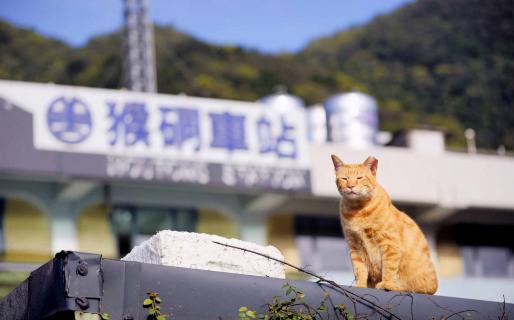Houtong Train Station (猴硐車站)