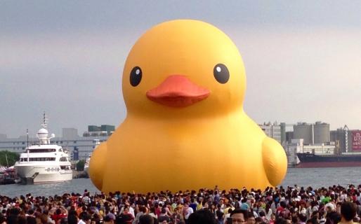 Kaohsiung Yellow Rubber Duck (高雄黃色小鴨)